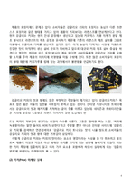 강글리오커피 마케팅실패 사례분석및 실패극복위한 마케팅전략 제안-6
