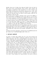 [첨단기술][첨단기술 분류][첨단기술 선정기준][첨단기술 특징][첨단기술 상용화능력]첨단기술의 분류, 첨단기술의 선정기준, 첨단기술의 특징, 첨단기술의 상용화능력, 첨단기술의 지원제도, 첨단기술의 육성사례-4