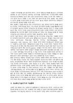 [정보통신기술(ICT)][전자민주주의]정보통신기술(ICT)과 전자민주주의, 기술협력, 정보통신기술(ICT)과 정치발전, 정보통신기술(ICT)과 농어촌정보화, 정보통신기술(ICT)과 보안산업, 정보통신기술(ICT) 작업장감시-3