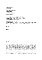 [월드컵]2002 월드컵(2002 한일월드컵)의 특징, 개최의의, 2002 월드컵(2002 한일월드컵)의 엠부쉬마케팅(엠부시마케팅), 2002 월드컵(2002 한일월드컵)의 광고사례, 2002 월드컵(2002 한일월드컵)의 기대효과 분석-2