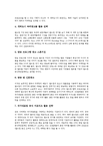 [월드컵]2002 월드컵(2002 한일월드컵)의 특징, 개최의의, 2002 월드컵(2002 한일월드컵)의 엠부쉬마케팅(엠부시마케팅), 2002 월드컵(2002 한일월드컵)의 광고사례, 2002 월드컵(2002 한일월드컵)의 기대효과 분석-7