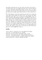 [노인보건복지][노인][보건복지][보건][복지][노인보건복지 계획]노인보건복지의 계획, 노인보건복지의 주요시책, 노인보건복지의 추진전략, 노인보건복지의 과제, 향후 노인보건복지의 전망, 제언 분석(보건복지)-14