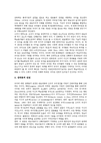 [행정규칙][행정규칙 정의][행정규칙 종류][행정규칙 필요성][행정규칙 성질][행정규칙 관점]행정규칙의 정의, 행정규칙의 종류, 행정규칙의 필요성, 행정규칙의 성질, 행정규칙의 관점, 행정규칙의 통제 분석-9
