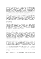 [목성][목성 어원][목성 구조][목성 표면][목성 성분][목성 대기][공전과 자전][탐사][위성]목성의 어원, 목성의 구조, 목성의 표면, 목성의 성분, 목성의 대기, 목성의 공전과 자전, 목성의 탐사, 목성의 위성 분석-5