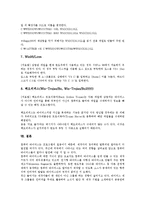 컴퓨터바이러스(바이러스)의 정의, 발전단계, 컴퓨터바이러스(바이러스)의 종류, 컴퓨터바이러스(바이러스)의 감염증상, 컴퓨터바이러스(바이러스)의 예방방법, 컴퓨터바이러스(바이러스)의 치료방법 분석-12