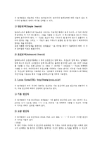 [탐색전략(웹탐색전략)][탐색전략(웹탐색전략) 의미][탐색전략(웹탐색전략) 수립]탐색전략(웹탐색전략)의 의미, 탐색전략(웹탐색전략)의 수립, 탐색전략(웹탐색전략)의 관련용어, 탐색전략(웹탐색전략)의 예시 분석-8