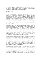 한미군비축소(한미군축)의 의미, 한미군비축소(한미군축)의 의의, 한미군비축소(한미군축)의 목표와 역할, 한미군비축소(한미군축)의 양상, 한미군비축소(한미군축)의 역설, 한미군비축소(한미군축)의 전략 분석-9