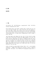 [국제광고][국제광고 개념][국제광고 필요성][국제광고 역할]국제광고의 개념, 국제광고의 필요성, 국제광고의 역할, 국제광고의 연구 동향, 국제광고의 표준화, 국제광고의 고려사항, 향후 국제광고 개선 방안 분석-2