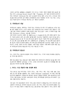 [국제광고][국제광고 개념][국제광고 필요성][국제광고 역할]국제광고의 개념, 국제광고의 필요성, 국제광고의 역할, 국제광고의 연구 동향, 국제광고의 표준화, 국제광고의 고려사항, 향후 국제광고 개선 방안 분석-3