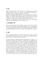 [국제광고][국제광고 개념][국제광고 필요성][국제광고 역할]국제광고의 개념, 국제광고의 필요성, 국제광고의 역할, 국제광고의 연구 동향, 국제광고의 표준화, 국제광고의 고려사항, 향후 국제광고 개선 방안 분석-12
