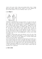 [수지침][수지침 수족인체상응이론][수지침 맥(脈)][수지침 장점][수지침 활용방법]수지침의 수족인체상응이론, 수지침의 맥(脈), 수지침의 장점, 수지침의 활용방법 분석(수지침][수지침 수족인체상응이론, 맥(脈))-8