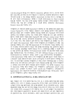 인터넷비즈니스(이비즈니스, E-BIZ, E비즈니스)의 정의, 특징, 인터넷비즈니스(이비즈니스, E-BIZ, E비즈니스)의 수익성, 인터넷비즈니스(이비즈니스, E-BIZ, E비즈니스)의 현황, 기술전략, 제고 방향 분석-3
