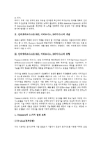 인터넷비즈니스(E-BIZ, 이비즈니스, E비지니스)의 개념, 유형, 인터넷비즈니스(E-BIZ, 이비즈니스, E비지니스)의 마케팅전략, 구매전략, 인터넷비즈니스(E-BIZ, 이비즈니스, E비지니스)의 품질경영전략, 경쟁전략-4