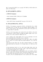 [E커머스(인터넷커머스, 이커머스)][M커머스(모바일커머스)]E커머스(인터넷커머스, 이커머스), M커머스(모바일커머스, 엠커머스), U커머스(유비쿼터스커머스, 유커머스), C커머스(씨커머스), T커머스(티커머스)-5