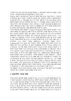 [경제공황(금융공황)]경제공황(금융공황)의 개념, 경제공황(금융공황)의 원인, 경제공황(금융공황)의 정보혁명, 경제공황(금융공황)의 영향, 경제공황(금융공황)의 신용, 향후 경제공황(금융공황)의 개선 방안 분석-12