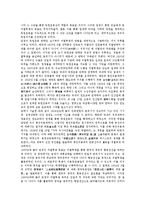 [독립운동][대한민국임시정부헌법개정][의열투쟁]독립운동의 태동, 독립운동의 전개과정, 독립운동의 기지건설, 독립운동의 대한민국임시정부헌법개정, 독립운동의 의열투쟁, 독립운동의 열사, 독립운동의 의사 분석-8