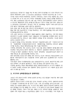 [러시아와 남북한(한반도)][연해주한인]러시아와 남북한(한반도)의 역사, 러시아와 남북한(한반도)의 연해주한인, 러시아와 남북한(한반도)의 3각협력(삼각협력), 러시아와 남북한(한반도)의 등거리외교 분석-4