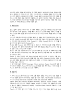 이태리관광(이탈리아관광)의 트레비분수, 이태리관광(이탈리아관광)의 피사의사탑, 이태리관광(이탈리아관광)의 산피에트로광장, 이태리관광(이탈리아관광)의 박물관, 이태리관광(이탈리아관광)의 지방별 요리 분석-7