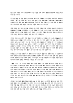 [경제권][중화경제권][화교경제권][한민족공동경제권][동북아시아경제권][중화][화교][한민족][동북아시아]중화경제권, 화교경제권, 한민족공동경제권, 동북아시아경제권 분석(경제권, 중화경제권, 화교경제권)-5