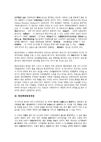 [경제권][중화경제권][화교경제권][한민족공동경제권][동북아시아경제권][중화][화교][한민족][동북아시아]중화경제권, 화교경제권, 한민족공동경제권, 동북아시아경제권 분석(경제권, 중화경제권, 화교경제권)-7