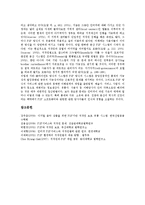 [P2P저작권][P2P저작권 역사][P2P저작권 보호계획][P2P저작권 보호기술][P2P저작권 사례][저작권][저작권 보호]P2P저작권의 역사, P2P저작권의 보호계획, P2P저작권의 보호기술, P2P저작권의 사례 분석-12