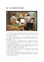 [마약범죄] 마약밀수 증가에 따른 영향과 대응방안 보고서-5