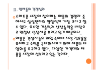 [애플 기업분석] 애플 경영전략분석-가격경쟁 PPT자료-10
