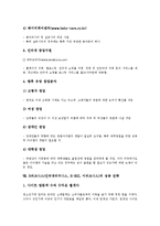 E비즈니스(인터넷비지니스, E-BIZ, 이비즈니스)의 의미, 분류, E비즈니스(인터넷비지니스, E-BIZ, 이비즈니스)의 특징, 성공 기준, E비즈니스(인터넷비지니스, E-BIZ, 이비즈니스) 성공 조건, 성공 사례, 성공 전략-9