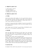 위험관리(리스크관리)의 정의, 유형, 위험관리(리스크관리)의 의의, 위험관리(리스크관리)의 평가등급, 위험관리(리스크관리)의 효과, 위험관리(리스크관리)의 사례, 향후 위험관리(리스크관리)의 개선 방향 분석-3