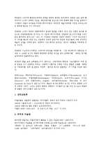 [이탈리아][이태리][나폴리]이탈리아(이태리)의 나폴리, 이탈리아(이태리)의 피렌체, 이탈리아(이태리)의 폼페이, 이탈리아(이태리)의 베네치아(베니스), 이탈리아(이태리)의 피사, 이탈리아(이태리)의 밀라노 분석-6