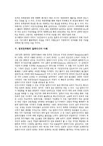 [정치민주화][정치][민주화][정치민주화 장애요인][정치민주화 권력][정치민주화 지방정치][말레이시아 사례]정치민주화의 장애요인, 정치민주화의 권력, 정치민주화의 지방정치, 정치민주화의 말레이시아 사례-11