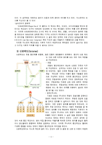 계층과 계급(카스트제도, 신분제도, 계급체계, 계급분화, 사회이동) 보고서-4