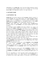 [기업광고][기업][광고][인지구성주의][폐해]기업광고의 유형, 기업광고의 연혁, 기업광고의 발전과정, 기업광고의 인지구성주의, 기업광고의 폐해, 기업광고의 사례, 향후 기업광고의 발전 방향 분석(기업광고)-8
