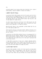 [기업인터넷광고][기업][광고][기업인터넷광고 의의][기업인터넷광고 기존문헌][기업인터넷광고 장단점]기업인터넷광고의 의의, 기업인터넷광고의 기존문헌, 기업인터넷광고의 장단점, 기업인터넷광고의 영향-6