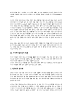 [다국적기업광고][다국적기업][광고][기업][다국적기업광고 특징][다국적기업광고 활용][다국적기업광고 영향]다국적기업광고의 특징, 다국적기업광고의 활용, 다국적기업광고의 영향, 다국적기업광고 국가별 사례-4