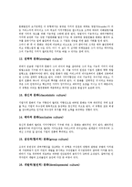 [기업문화][기업][문화][기업문화 개념][기업문화 종류]기업문화의 개념, 기업문화의 종류, 기업문화의 필요성, 기업문화의 선행연구, 기업문화의 세계화, 기업문화의 사업, 향후 기업문화의 내실화 방향 분석-6