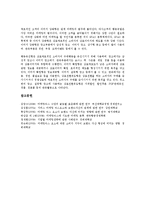 [마케팅믹스광고][마케팅믹스][광고][마케팅][마케팅믹스광고 분류][마케팅믹스광고 역할][신체노출]마케팅믹스광고의 분류, 마케팅믹스광고의 역할, 마케팅믹스광고의 성향, 마케팅믹스광고의 신체노출광고 분석-8