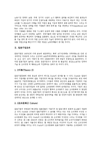 [기업조직][미국기업조직][일본기업조직][한국기업조직][싱가폴 기업조직][싱가포르][기업][미국][일본][한국][싱가폴]미국기업조직, 일본기업조직, 한국기업조직, 싱가폴(싱가포르) 기업조직 분석(기업조직)-7