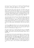 [기업조직][미국기업조직][일본기업조직][한국기업조직][싱가폴 기업조직][싱가포르][기업][미국][일본][한국][싱가폴]미국기업조직, 일본기업조직, 한국기업조직, 싱가폴(싱가포르) 기업조직 분석(기업조직)-11