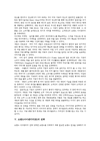 [브랜드아이덴티티][BI][브랜드][아이덴티티[브랜드아이덴티티 개념]브랜드아이덴티티(BI) 개념, 브랜드아이덴티티(BI) 요소, 브랜드아이덴티티(BI) 성공 사례, 브랜드아이덴티티(BI) 전략 분석(브랜드아이덴티티)-8
