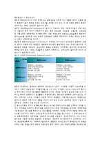 [복지]생산적 복지의 정의, 생산적 복지의 천명, 생산적 복지의 형성과정, 생산적 복지의 균형적 자원배분, 생산적 복지의 국민기초생활보장법, 생산적 복지의 보건의료서비스, 향후 생산적 복지의 정책 과제 분석-5
