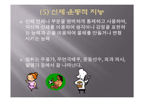 (영유아보육프로그램) 다중지능접근법 프레젠테이션-14