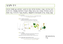 (영유아보육학) 레지오 밀리아 접근법 프레젠테이션-7