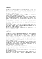 [조직관리][조직][정부][공무원][공기업][벤처기업][정보기술경영]정부의 조직관리, 공무원의 조직관리, 공기업의 조직관리, 벤처기업의 조직관리, 정보기술경영의 조직관리, 행정학의 조직관리, 간호학의 조직관리-4
