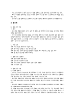 [창업기업관리][창업기업][창업][기업][특허관리][종업원][세무][인적자원][마케팅]창업기업의 특허관리, 창업기업의 종업원관리, 창업기업의 세무관리, 창업기업의 인적자원관리, 창업기업의 마케팅관리 분석-15