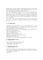 [관광홍보][관광PR][관광][홍보][PR][관광홍보 단계][관광홍보 이미지][관광홍보 표지]관광홍보(관광PR)의 단계, 관광홍보(관광PR)의 이미지, 관광홍보(관광PR)의 표지, 관광홍보(관광PR)의 외국어홈페이지 분석-4