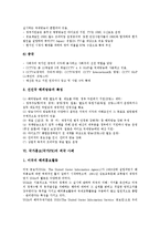 [국가홍보][국가PR]국가홍보(국가PR)의 필요성, 국가홍보(국가PR)의 현황, 국가홍보(국가PR)의 과학기술, 국가홍보(국가PR)의 해외방송, 국가홍보(국가PR)의 외국 사례, 향후 국가홍보(국가PR)의 방안 분석-10