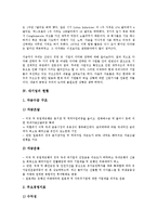[대기업][대기업 특성][대기업 성장과정][대기업 현황]대기업의 특성, 대기업의 성장과정, 대기업의 현황, 대기업의 노동시장, 대기업의 정보기술산업, 대기업의 마케팅 전략, 향후 대기업의 내실화 방안 분석-7