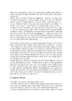 [디즈니랜드][디즈니][디즈니랜드 역사][디즈니랜드 해외진출][디즈니랜드 서비스품질][디즈니랜드 유로][해외진출]디즈니랜드의 역사, 디즈니랜드의 해외진출, 디즈니랜드의 서비스품질, 디즈니랜드의 유로 분석-14