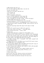 [미국기업][미국][기업][3M][월트 디즈니][질레트]미국 기업 3M(쓰리엠), 미국 기업 월트 디즈니(Walt Disney), 미국 기업 질레트(Gillette), 미국 기업 리바이스(Levi`s), 미국 기업 나이키(Nike) 분석-6